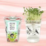 울강아지는 캣잎안먹어