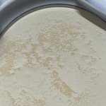 <b>팩트형</b> 파우더 일케 돼서 스트레스 받는 사람 들어와바