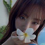 “여름아”…조이현, 한 송이 꽃으로 전한 설렘→순수 미소와 <b>청량</b>함