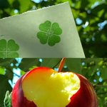 남친이랑 제주도 <b>당일</b>치기 ㅇㄸ..?