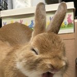 <b>기상</b>!!!!!!!!!!