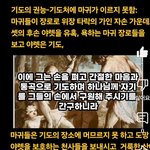 못함: 마귀들이 장로로 위장 <b>타락</b>의 가인 자손 가운데로 셋의 후손...