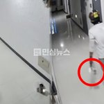 완료’ 알림만 남기고 음식 증발…<b>CCTV</b>에 찍힌 배달 기사 행동