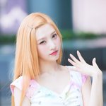 시그니처 포즈’…‘아이 더워라~’ (<b>동물</b>농장 출근길) [HD포토]