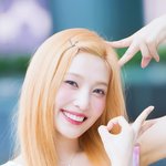 레드벨벳 조이, ‘Love <b>Splash</b>! 둥냥이’ (동물농장 출근길)...