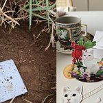 김정난 부친상 이어 또…"자주 보러갈게 내 사랑"