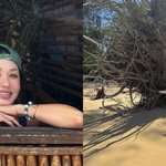 엄정화, 하와이서 뽐낸 비키니 자태 "파도·바람과 함께한 며칠"