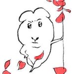 빠순이 <b>농도</b> 맞는 덕메 사귀고 싶다