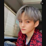 다들 트레저 요시 몰라서 너무<b>섭섭</b>함