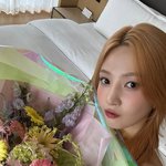 크러쉬 레드벨벳 조이, 꽃보다 아름다운 미모