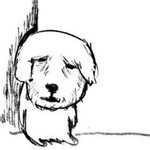 [드루와] 9모 영어 <b>한줄</b>로 찍음