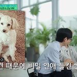 강남, 이상화와 비밀 열애 중..반려견 때문에 들켰다 '고백' [유퀴즈]