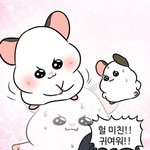 20대초반 <b>찐따</b> 정판<b>녀</b> 다음주 ㅂㅍ 응카 혼자 간다