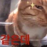 나 머리나빠서 기본 개념은 이해하는데