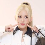 전<b>소미</b>, ‘퍼펙트 걸’로 할리우드 진출…K팝 다룬 스릴러 여주 낙점