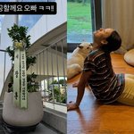  요가원 '아난다' <b>오픈</b> 앞두고 서장훈이 보낸 선물.."영원한...