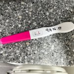 [임신테스트] 임테기 <b>오류</b>인지 한번만 봐주세요