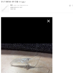 언니가 <b>빨대</b>로 새우 만듦