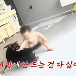 [어케생각해] 애기 무는 개 문제없다는 엄마..