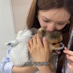 '<b>세븐</b>' 이다해, 갑작스레 반려견 떠나보낸 후 오열 "스탠스 시술...