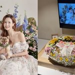 ‘<b>세븐</b>’ 이다해, 웨딩도 함께한 반려견 떠나보내..“인정하기 싫었다”[전문]