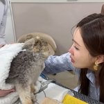  눈물로 작별 인사…"엄마가 미안해, 또 만나자" (<b>1+1</b>)