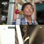할머니와 할아버지와 함께 쓰레기집에서 살던 18마리의 <b>강아지</b>들
