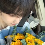 판저이 약간 중화권 <b>청춘</b>로맨스 영화