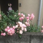 근데 <b>인팁</b>이 ㄹㅇ 얼빠임?