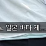 <b>일본해</b> 언급한 ㅇㅅㅌ ㅇㅅ ㄹ