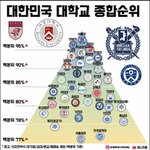 인스타 100만 조회수 <b>최신</b> 입결기준 대학 순위 ㄷㄷ
