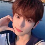 앤팀 <b>하루아가</b> 위버스에서 팬 차단한거 ㄹㅇ임?