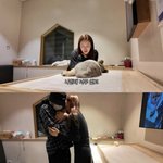 이다해<b>세븐</b>, 반려견 장례식장서 오열.."한 대학동물병원 시술 원인"