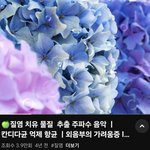 [19] 이런거 <b>효과</b>없뎄지...?