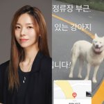 "너무 위험해"…원더걸스 선예, '<b>로드킬</b>' 마주할 뻔한 아찔한...