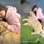 한지민, 리트리버랑 키가 비슷? 대형견 옆에서도 귀여움 <b>폭발</b>