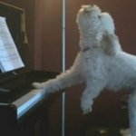 손님한테 봉투 무료로 줬다가 점장한테 <b>개혼</b>남