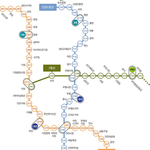 [시간표확인] 인천 지하철 시간표 첫차 막차 운행시간 <b>최신</b> [안내]