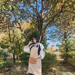 “강지 닮은 포근함”…<b>강미</b>나, 가을 햇살 속 평온→따스한 미소