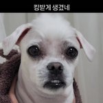 난 ㅈㅉ <b>멜론</b>티켓팅 개잘하는데