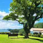 [국내여행] <b>오션</b>뷰와 정원이 예쁜곳!힐링제대로~!