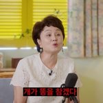 이경실 "개가 똥을 끊냐? 사람 고쳐 쓰는 거 아냐" 의미심장