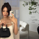 '금융인' <b>효민</b>, 신혼집 꾸미느라 바쁘네…"우리집 새 식구"