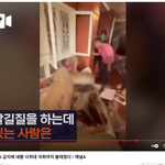 친중<b>네팔</b> 정권에 화난 국민들 국회를 불태우다!