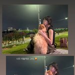 노윤서 <b>반려</b>견과 여유로운 산책…밤에도 미모 못 가려