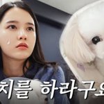 이쁘고