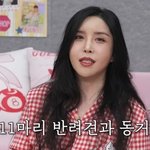 "<b>병원비</b>로 월 500씩 나간다"…남다른 반려견 사랑 [RE:뷰]