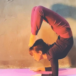 이효리, 벌써 선한 <b>영향력</b>…'학폭 부인' 심은우 "요가는 내 삶"