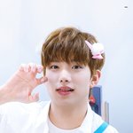 성덕 인증 제대로다ㅋㅋㅋ