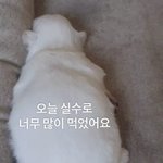 [댓글부탁해] 나 중딩때 친구 ㅈㄴ 부자였음